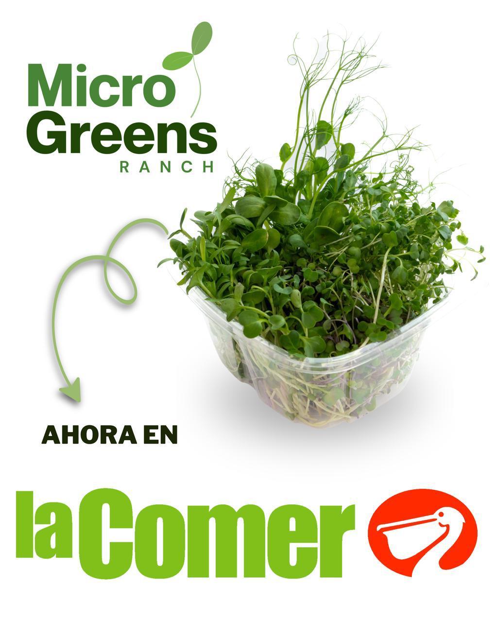 Find our MicroGreens at La Comer in San Miguel de Allende, Mx!